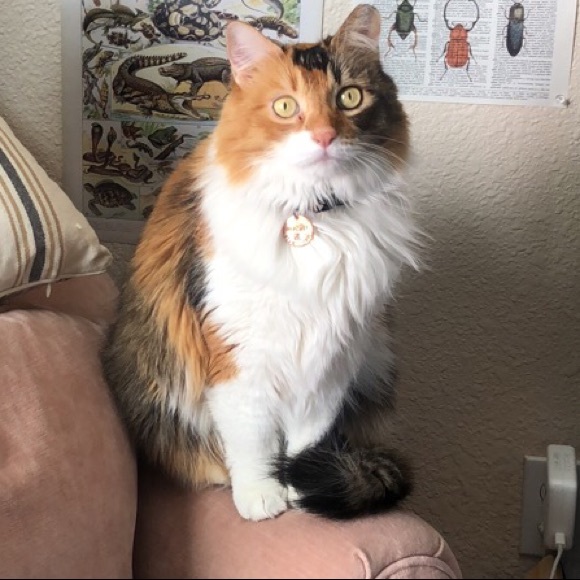 Meet the seller 💚 - Picture 4 of 8